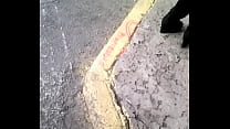 free culo madurita video