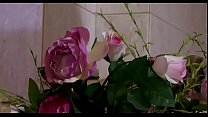 free amazing babes in hardcore 3some while dressed video