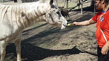 free я весь промок увидев размер коня желаю чтобы мой парень был таким пэти батт эль торо де оро video