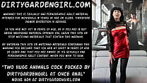 free fotograper two huge animals cock fucked by dirtygardengirl at once in he anal prolapse hole video