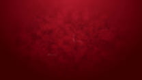 free первое двойное проникновение для красивой элли шоу video