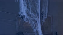 free хэллоуинская история ужасов двойное проникновение анальный фистинг шейла коллинз кэтрин мур камила купер элизабет video